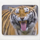 Search for dangerous electronics Wildlife