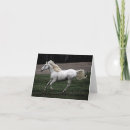 Search for running horse cards Pony