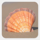 Search for scallop shells stickers Nautical