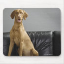 Search for sofa mouse mats Dog