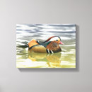 Search for duck canvas prints Red