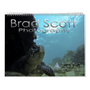 Search for turtle photography Underwater