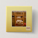 Search for bored badges I can has cheezburger