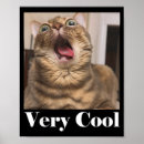 Search for cat meme posters Trend