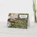 Search for tortoise birthday cards Reptile