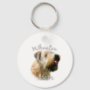 Search for wheaten key rings Soft coated wheaten terrier