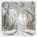 Search for new york winter stickers City