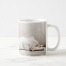 Search for sleepy dog mugs Cute