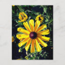 Search for black eyed susan flowers postcards Yellow