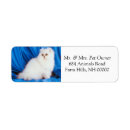 Search for white cat return address labels Feline