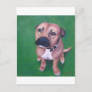 Search for staffie postcards Staffy