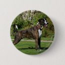 Search for brindle badges Dog
