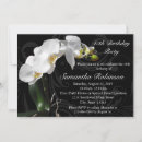Search for dramatic orchid Black