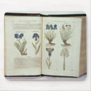 Search for elizabethan electronics English