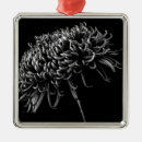 Search for flora christmas tree decorations Plant