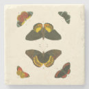 Search for bright coasters White