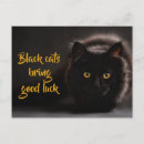 Search for black cat with your quotes postcards Kitty