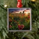 Search for sunrises christmas tree decorations Dawn