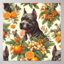 Search for cane corso posters Puppy