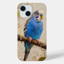 Search for budgie iphone cases Blue