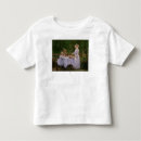 Search for balcony tshirts Collection