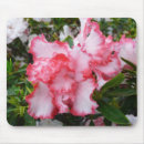 Search for azalea mouse mats White