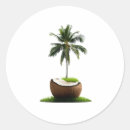 Search for coconut fruit stickers Tropical