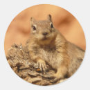 Search for grounding stickers Cute