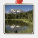 Search for canada christmas tree decorations Outdoors