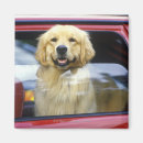 Search for dog car magnets Red