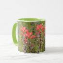 Search for indian paintbrush mugs Texas