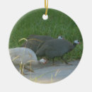 Search for guinea fowl decor Animals