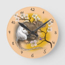 Search for rat clocks Animal