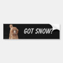 Search for poodle bumper stickers Dogs