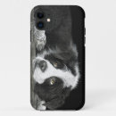 Search for sheeps iphone cases Illustration
