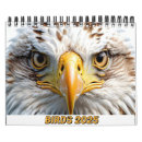 Search for twitcher Birds