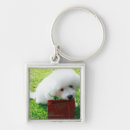 Search for smelling key rings Outdoors