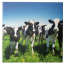 Search for farm animal tiles Nature
