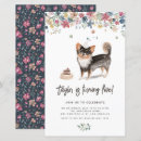 Search for black chihuahua Birthday