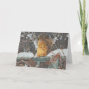 Search for furry cards Photography