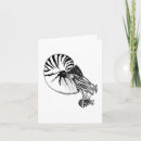 Search for nautilus cards Ocean