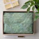 Search for wrap photography Beautiful