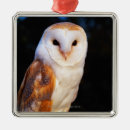 Search for barn owl christmas tree decorations Wildlife