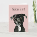 Search for cute pitbull cards Animal