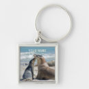 Search for sea lion key rings Cute