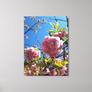 Search for cherry blossom tree canvas prints Nature