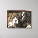 Search for perro art Chien