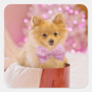 Search for pink dog stickers Puppy