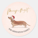 Search for dachshund dog stickers Merry christmas