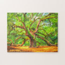 Search for angel oak tree Nature